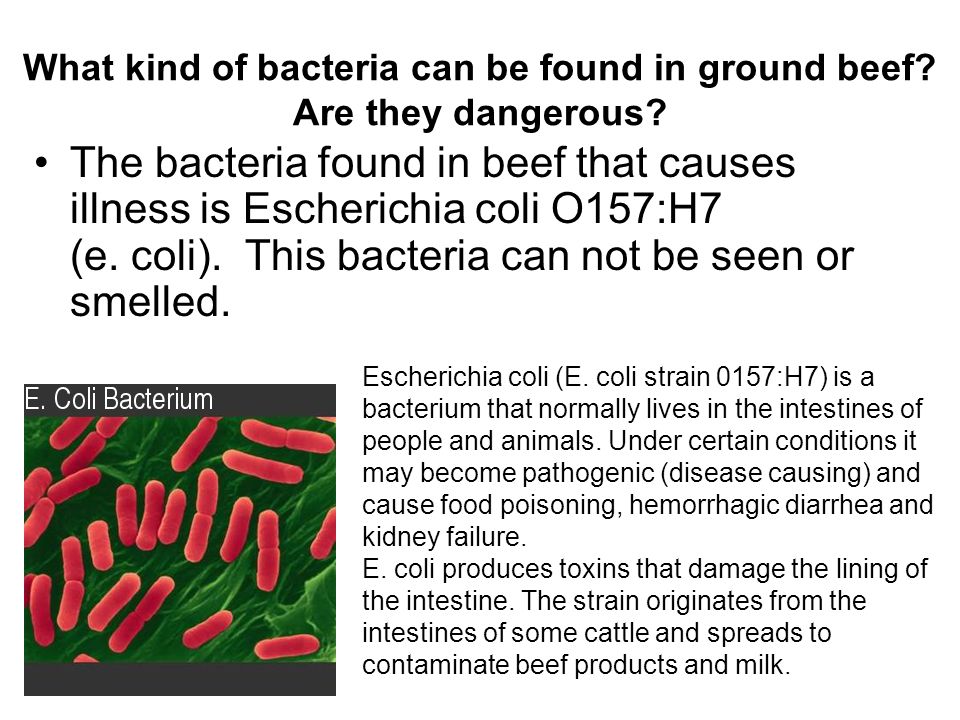 Ground Beef Notes Meat Labeled Hamburger Meat Is Allowed