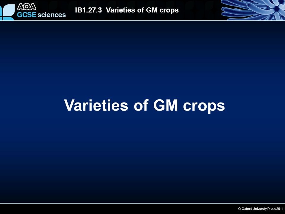 © Oxford University Press 2011 IB Varieties of GM crops Varieties of GM crops