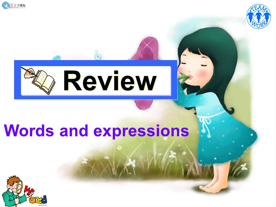 Review Words and expressions