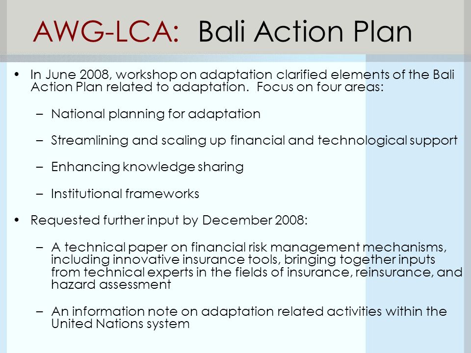 AWG-LCA: Bali Action Plan In June 2008, workshop on adaptation clarified elements of the Bali Action Plan related to adaptation.
