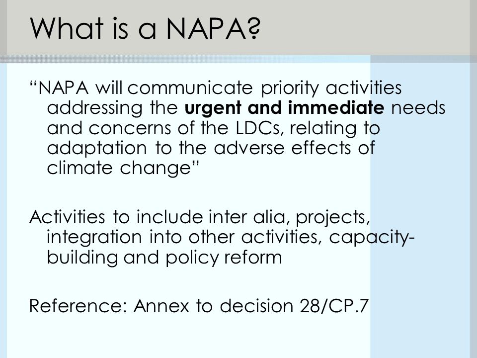What is a NAPA.