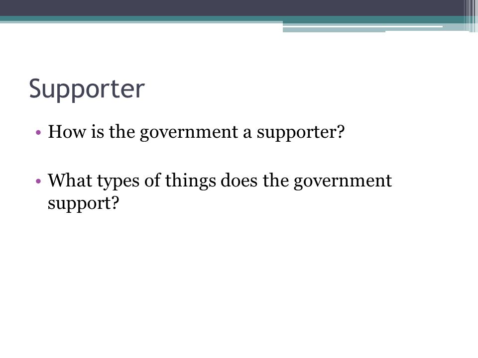 Supporter How is the government a supporter What types of things does the government support