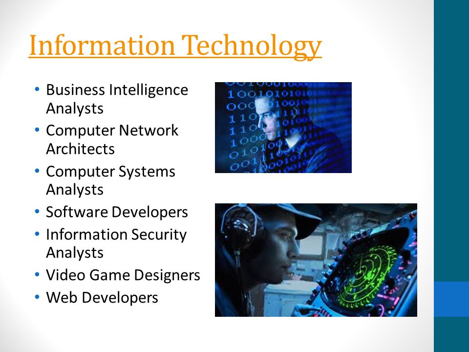 Information Technology Business Intelligence Analysts Computer Network Architects Computer Systems Analysts Software Developers Information Security Analysts Video Game Designers Web Developers