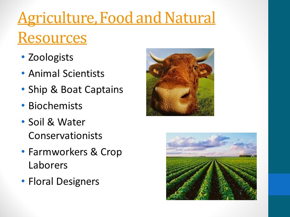 Agriculture, Food and Natural Resources Zoologists Animal Scientists Ship & Boat Captains Biochemists Soil & Water Conservationists Farmworkers & Crop Laborers Floral Designers