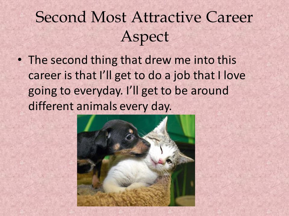 Second Most Attractive Career Aspect The second thing that drew me into this career is that I’ll get to do a job that I love going to everyday.