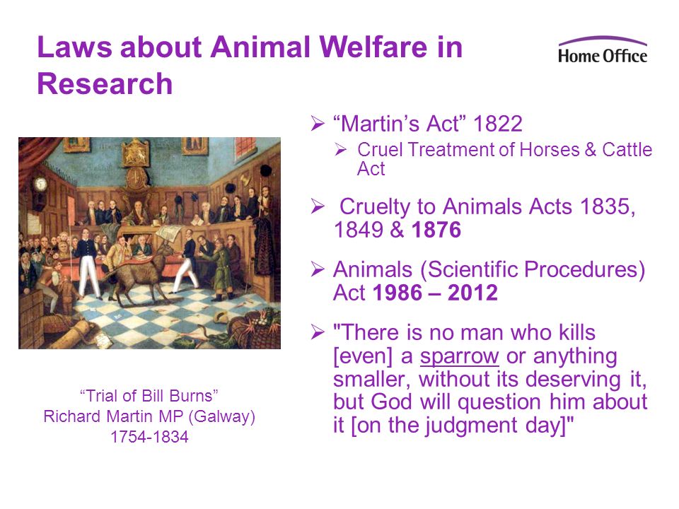 The importance & relevance of animals in research, and their welfare Third  OIE Global Conference on Animal Welfare. Kuala Lumpur, Malayasia 6 th  November. - ppt download
