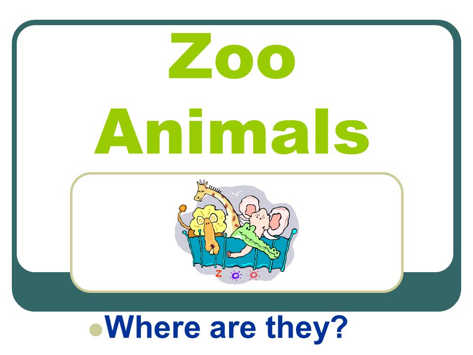 Zoo Animals Where are they