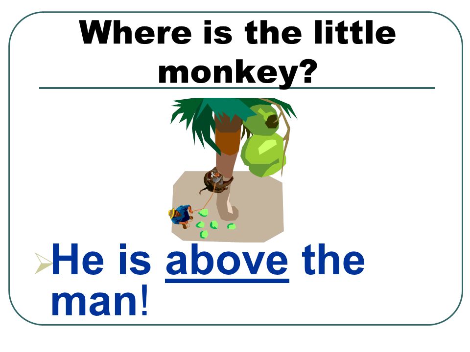 Where is the little monkey  He is above the man!