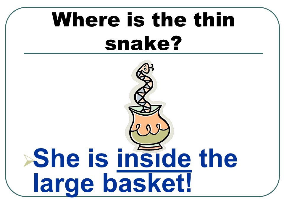 Where is the thin snake  She is inside the large basket!