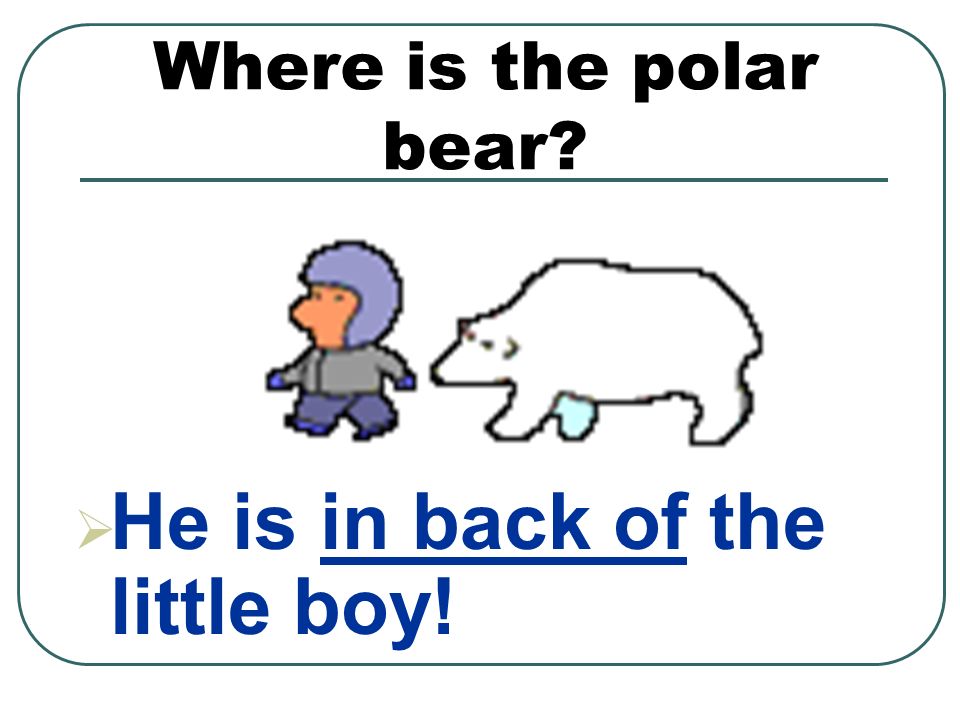 Where is the polar bear  He is in back of the little boy!