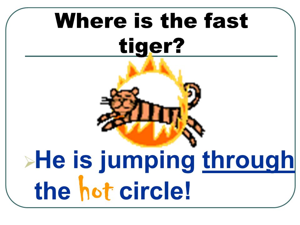 Where is the fast tiger  He is jumping through the hot circle!