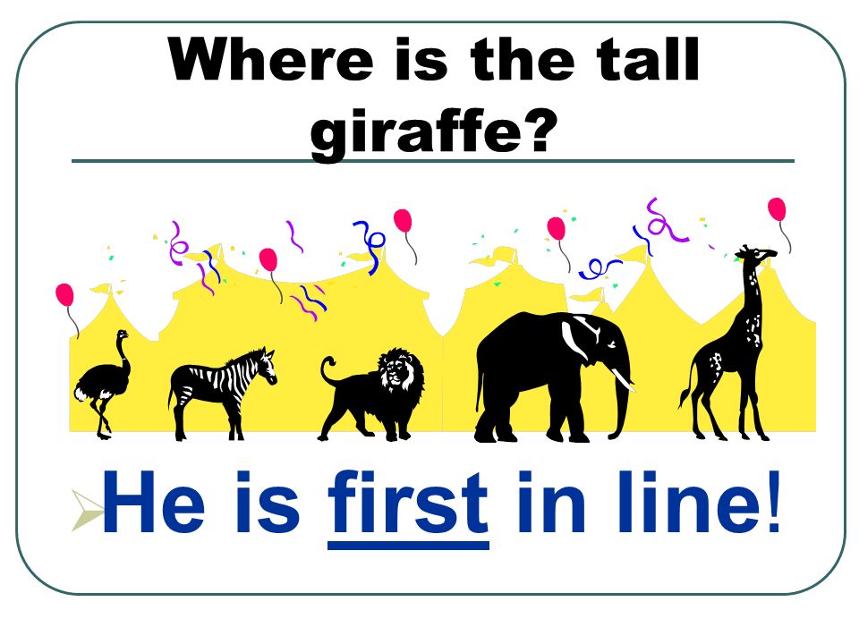 Where is the tall giraffe  He is first in line!