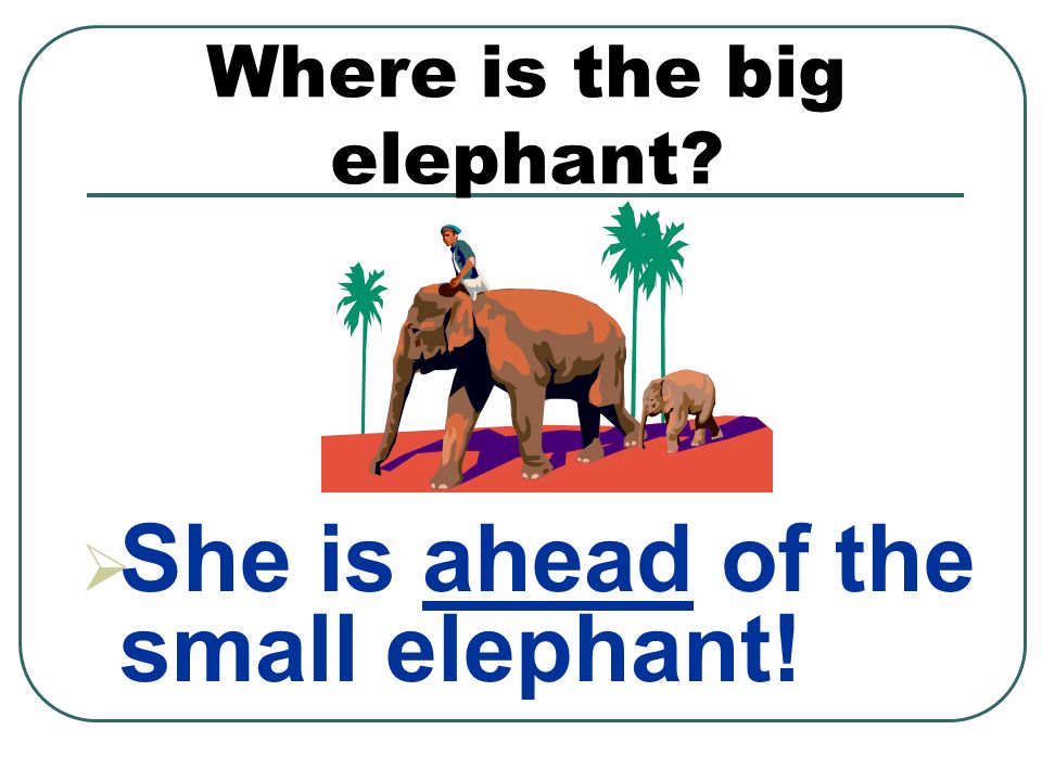 Where is the big elephant  She is ahead of the small elephant!