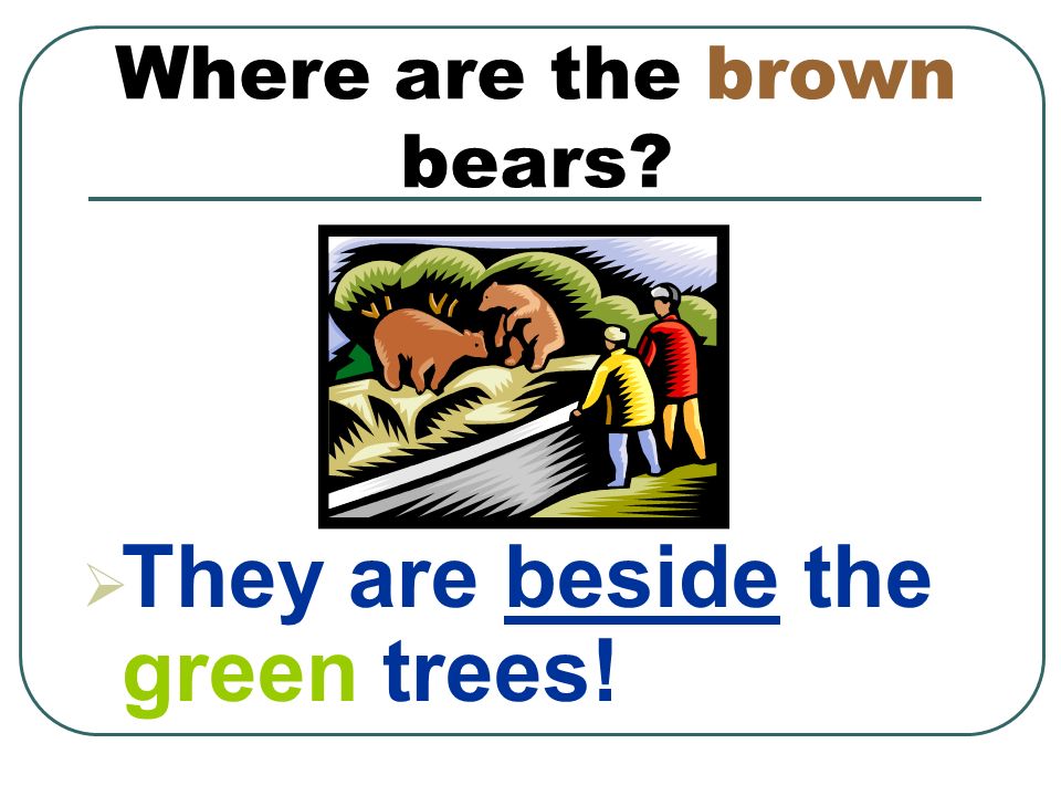 Where are the brown bears  They are beside the green trees!