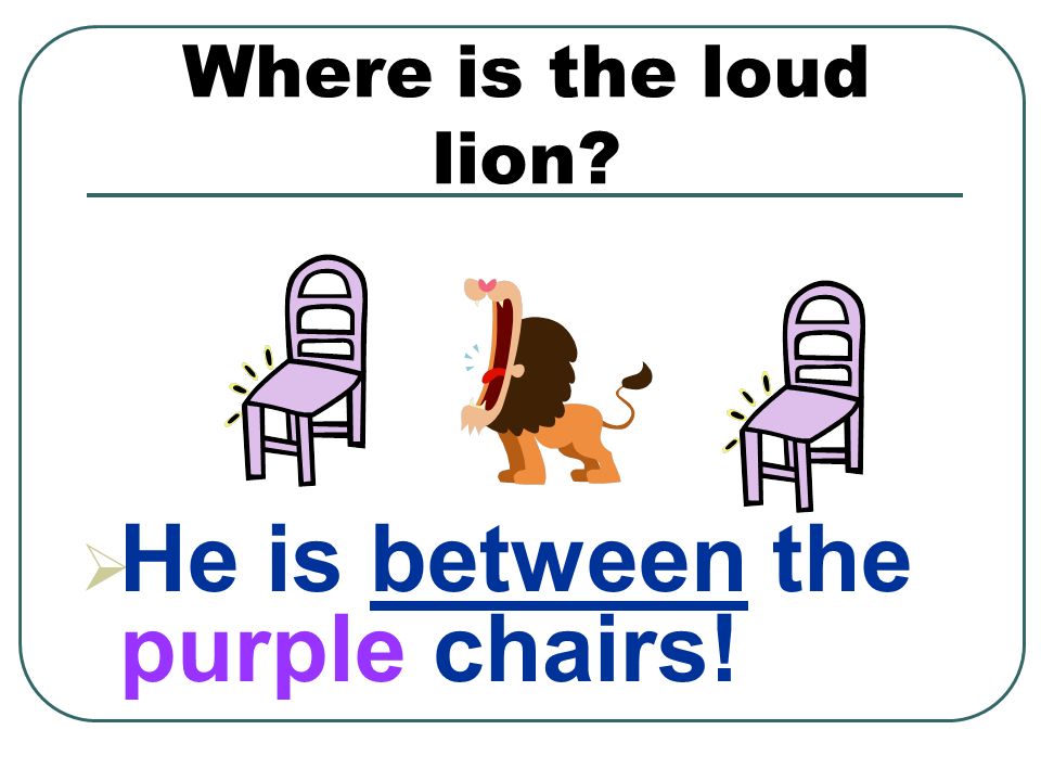Where is the loud lion  He is between the purple chairs!