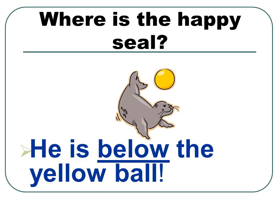Where is the happy seal  He is below the yellow ball!