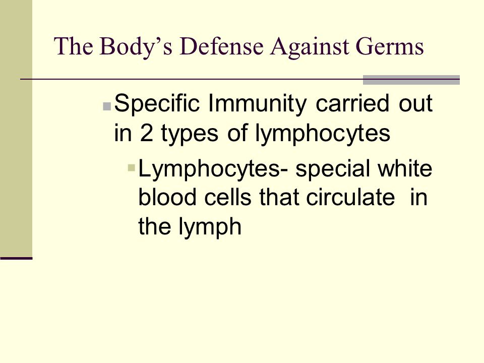 The Body’s Defense Against Germs Helps maintain balance of fluid in the body Lymph nodes are small lumps of lymphatic tissue located throughout the system that act as filters to keep germs from invading body tissues