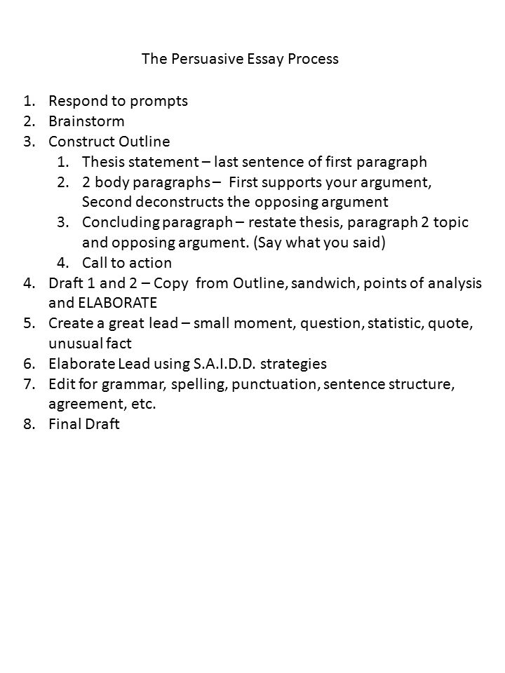 What do you call the first paragraph of an essay