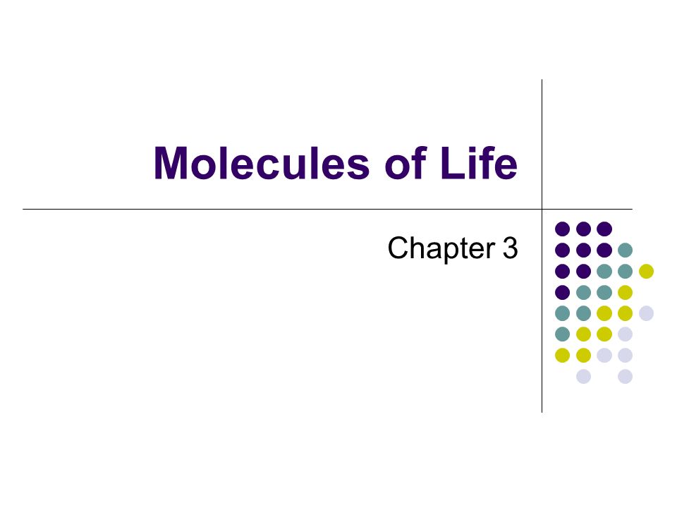 Molecules of Life Chapter 3