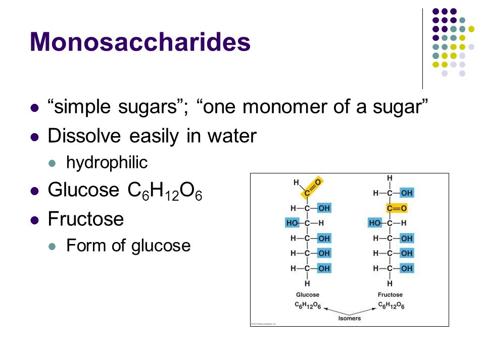 Monosaccharides simple sugars ; one monomer of a sugar Dissolve easily in water hydrophilic Glucose C 6 H 12 O 6 Fructose Form of glucose