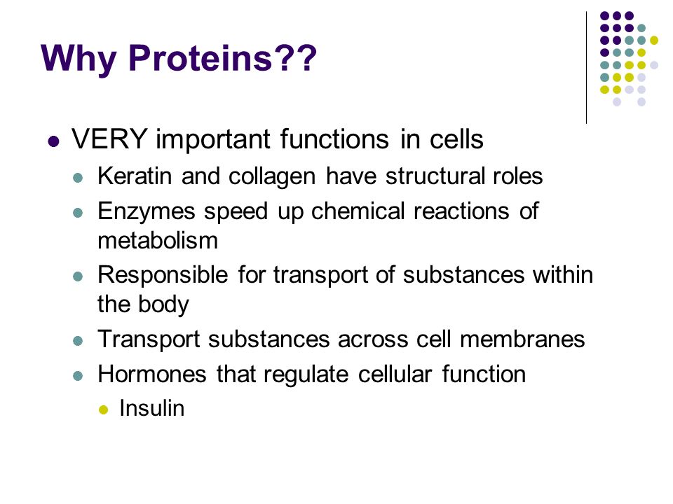 Why Proteins .