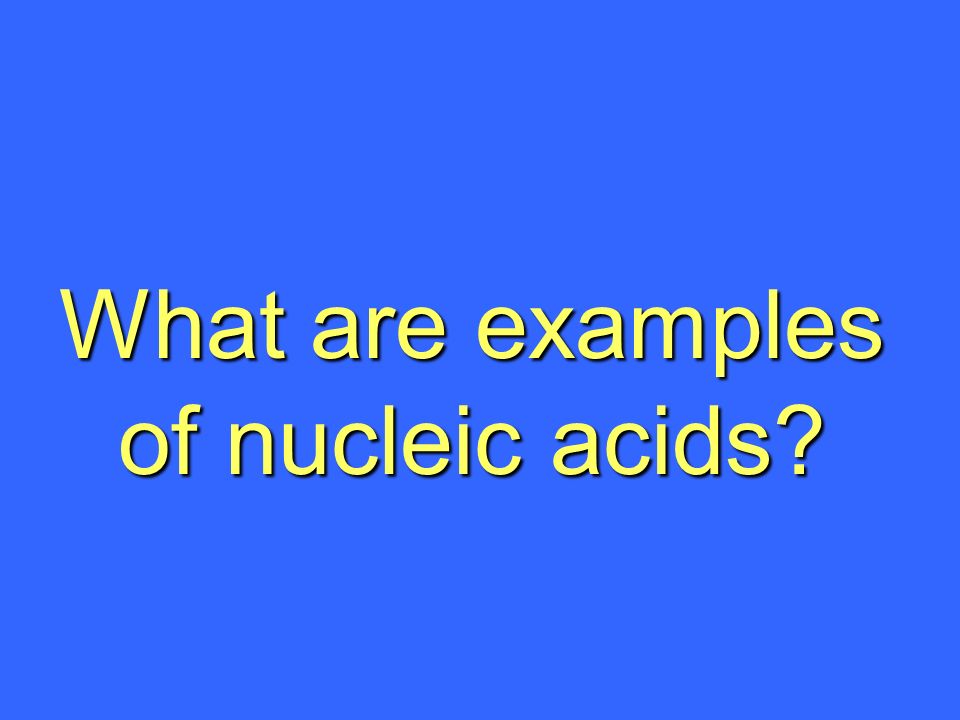 What are examples of nucleic acids