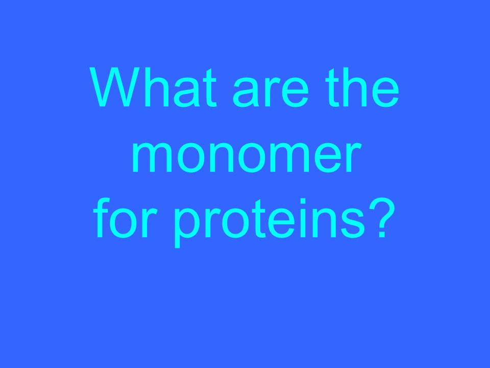 What are the monomer for proteins