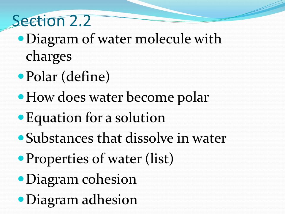 Section 2.2 Diagram of water molecule with charges Polar (define) How does water become polar Equation for a solution Substances that dissolve in water Properties of water (list) Diagram cohesion Diagram adhesion
