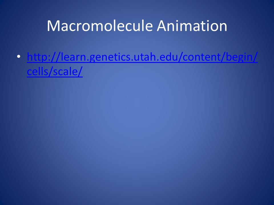Macromolecule Animation   cells/scale/   cells/scale/
