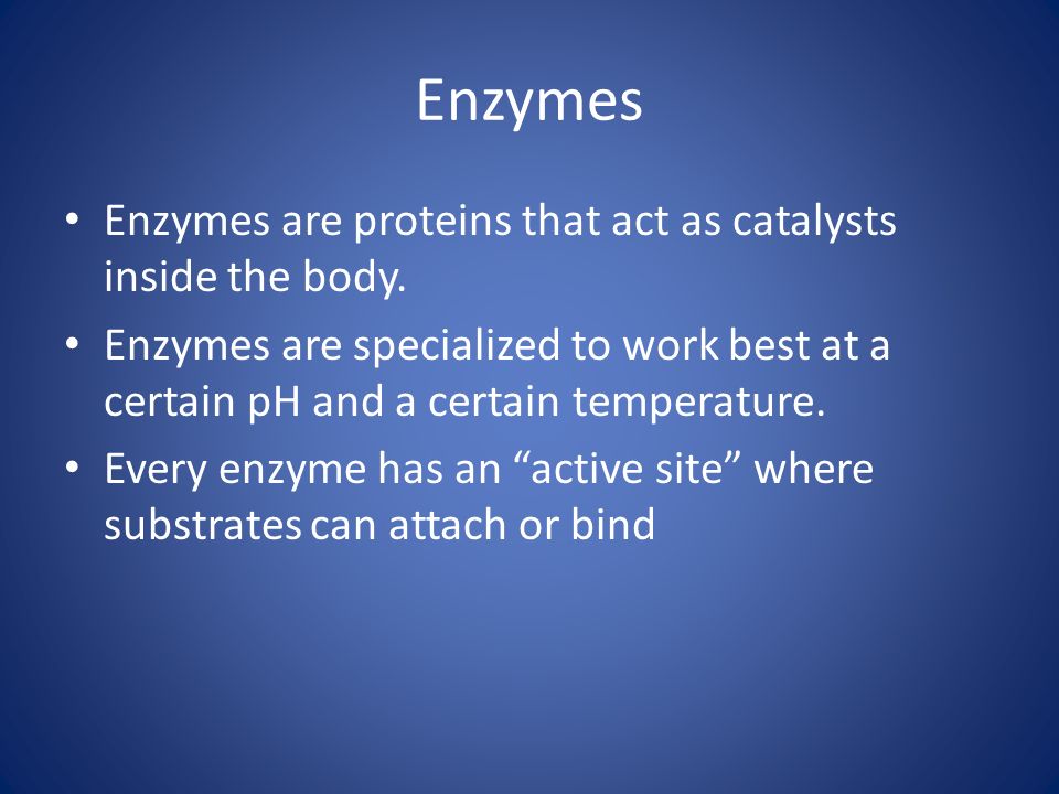 Enzymes Enzymes are proteins that act as catalysts inside the body.