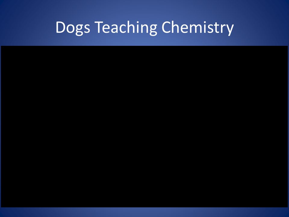 Dogs Teaching Chemistry