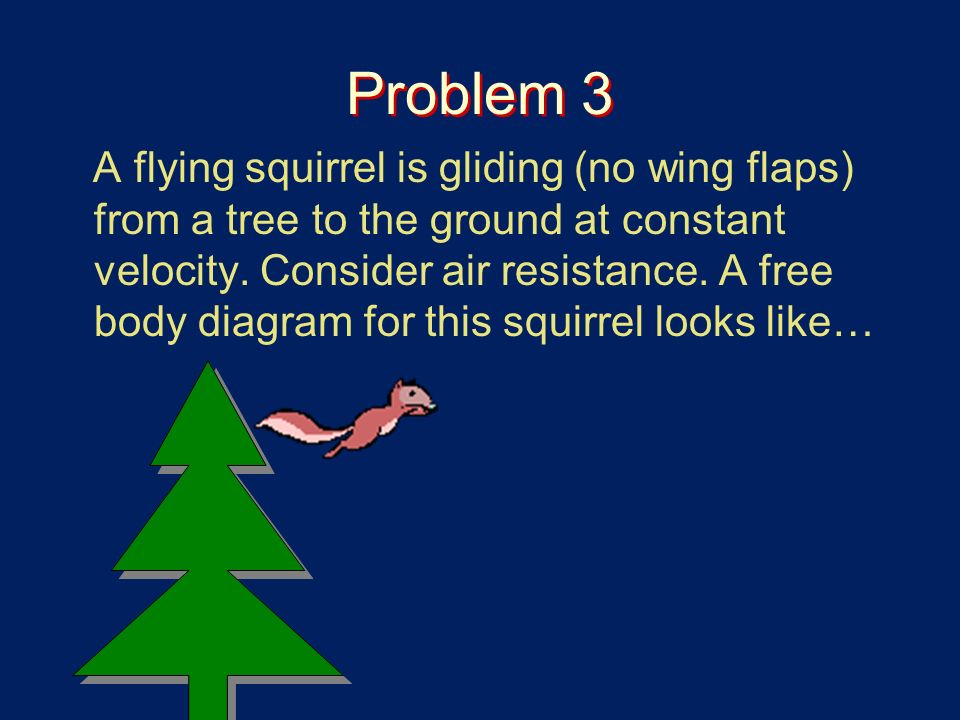 Problem 3 A flying squirrel is gliding (no wing flaps) from a tree to the ground at constant velocity.