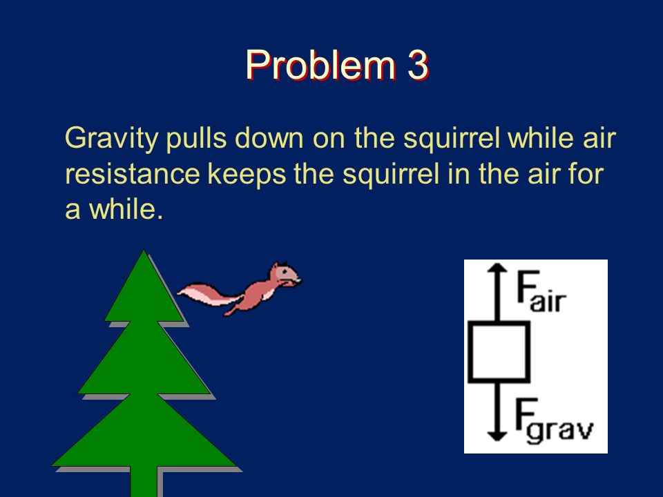 Problem 3 Gravity pulls down on the squirrel while air resistance keeps the squirrel in the air for a while.