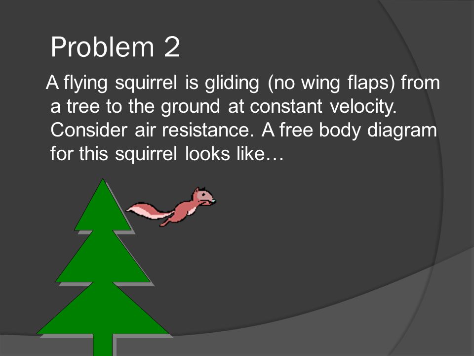 Problem 2 A flying squirrel is gliding (no wing flaps) from a tree to the ground at constant velocity.
