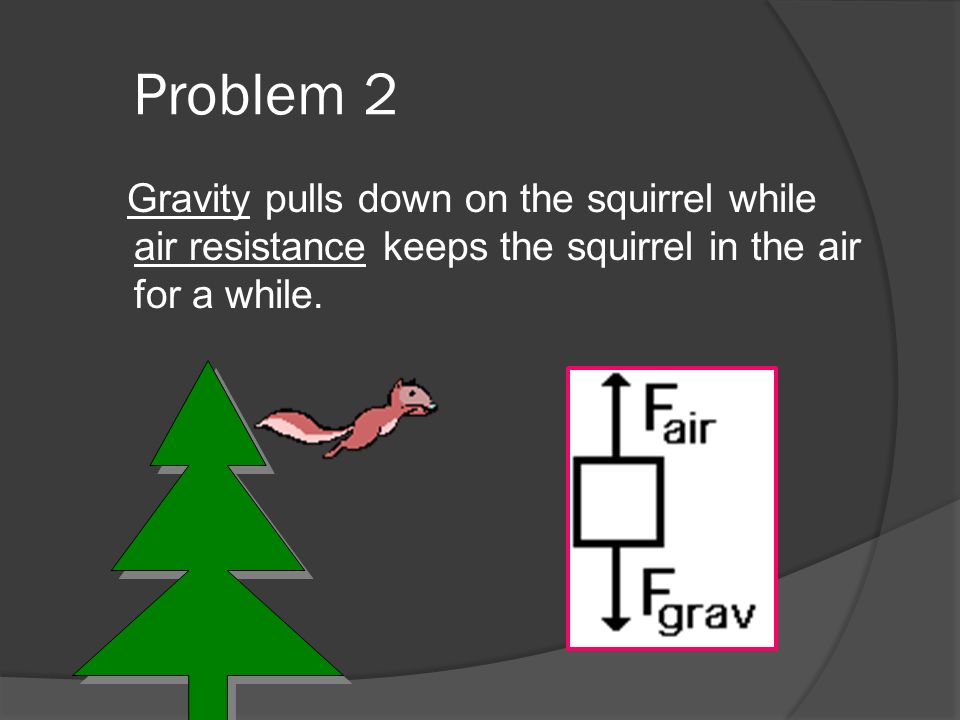 Problem 2 Gravity pulls down on the squirrel while air resistance keeps the squirrel in the air for a while.