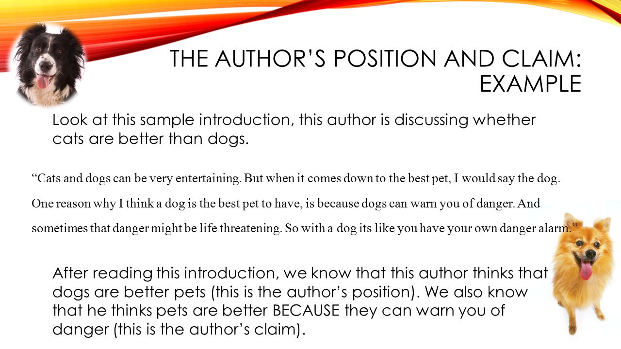 THE AUTHOR’S POSITION AND CLAIM: EXAMPLE Cats and dogs can be very entertaining.