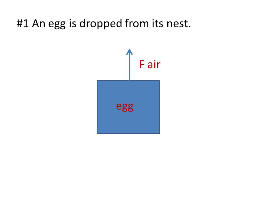 #1 An egg is dropped from its nest. egg F air