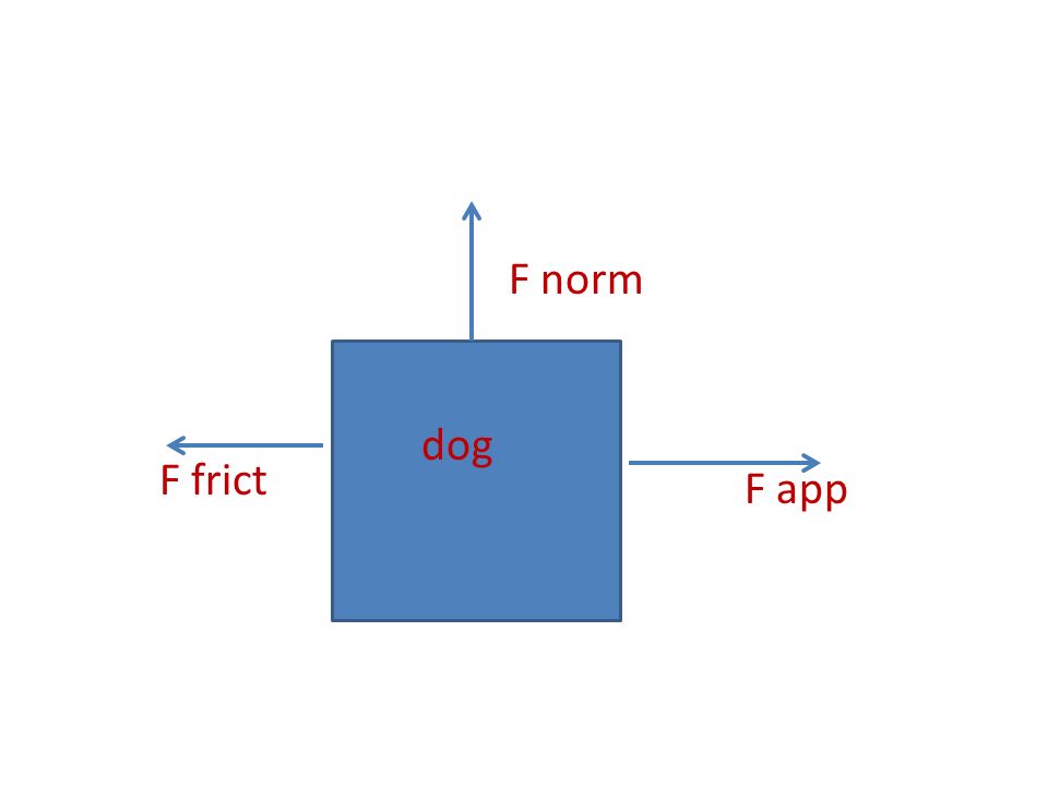 F app F frict dog F norm