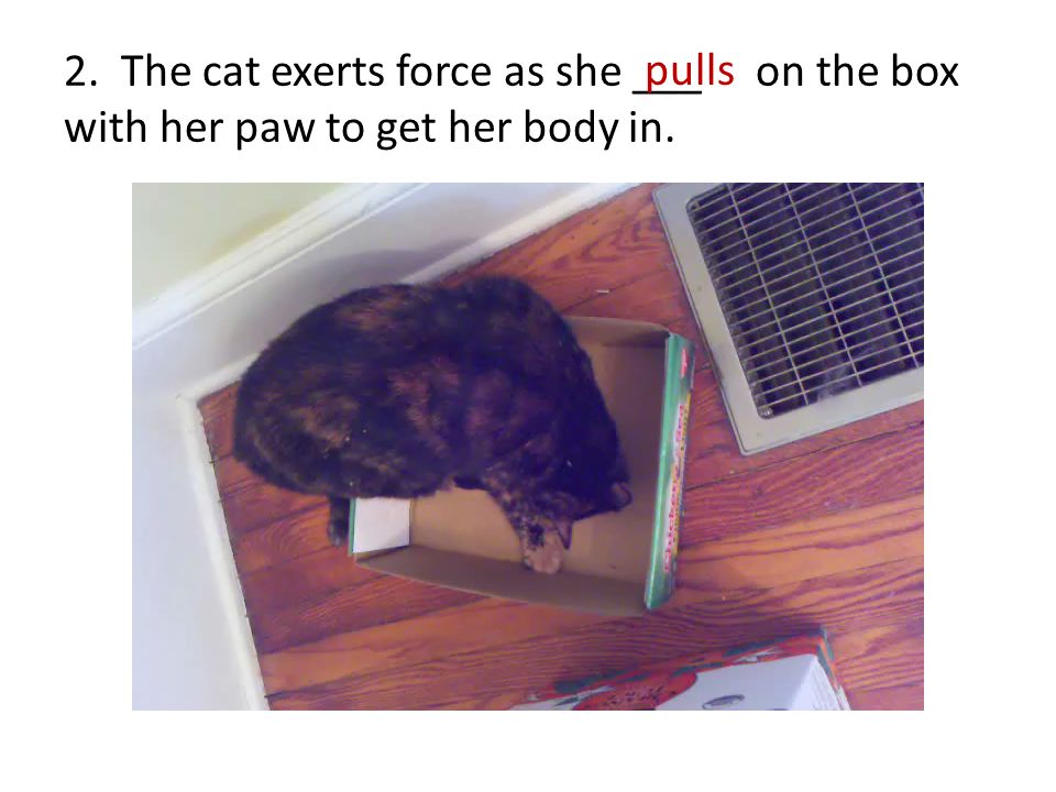 2. The cat exerts force as she ___ on the box with her paw to get her body in. pulls