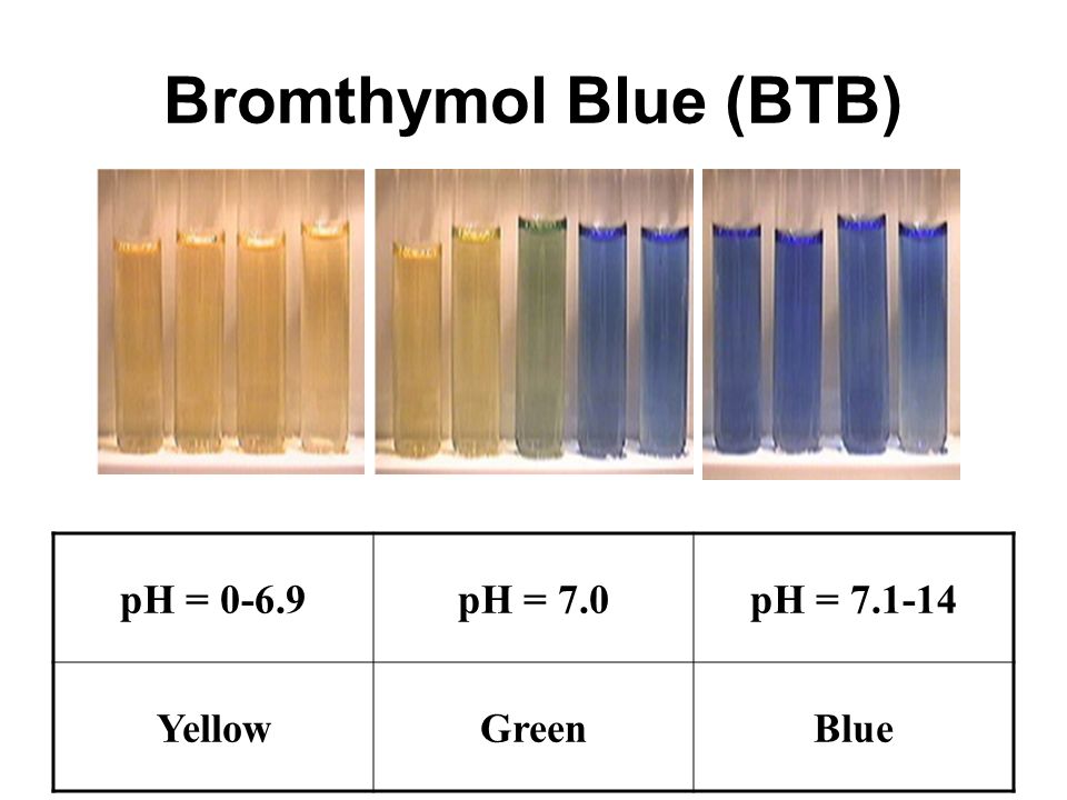 Bromothymol Blue Color Chart