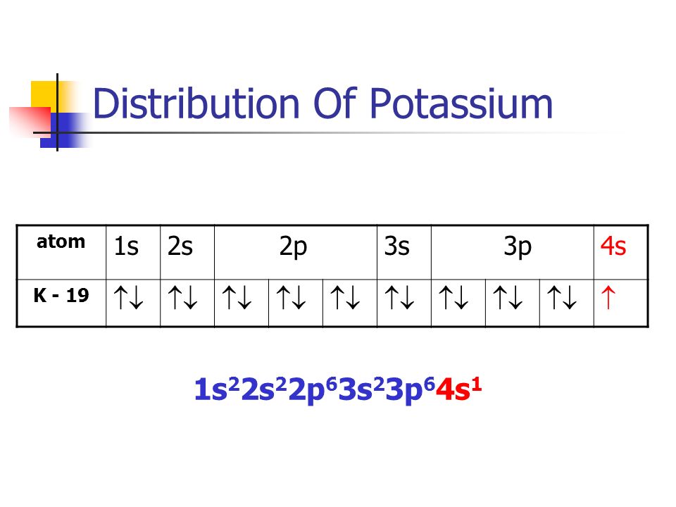 Distribution Of Potassium atom 1s2s 2p3s 3p4s K - 19   1s 2 2s 2 2p 6 3s 2 3p 6 4s 1