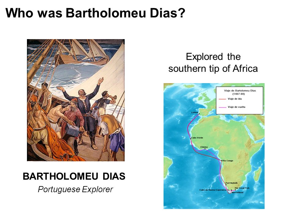 Who was Bartholomeu Dias BARTHOLOMEU DIAS Explored the southern tip of Africa Portuguese Explorer