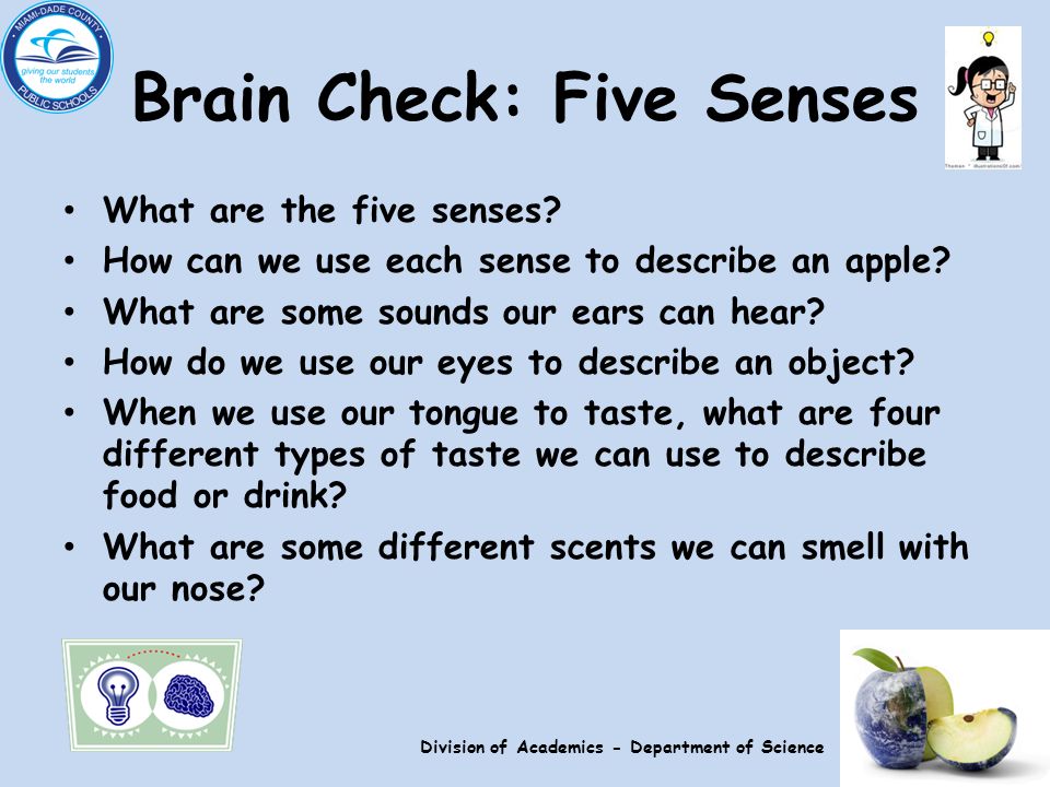 Brain Check: Five Senses What are the five senses.