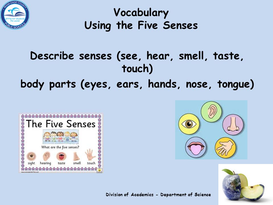 Describe senses (see, hear, smell, taste, touch) body parts (eyes, ears, hands, nose, tongue) Vocabulary Using the Five Senses Division of Academics - Department of Science