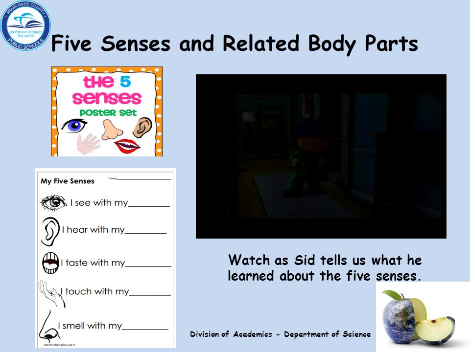 Five Senses and Related Body Parts Watch as Sid tells us what he learned about the five senses.