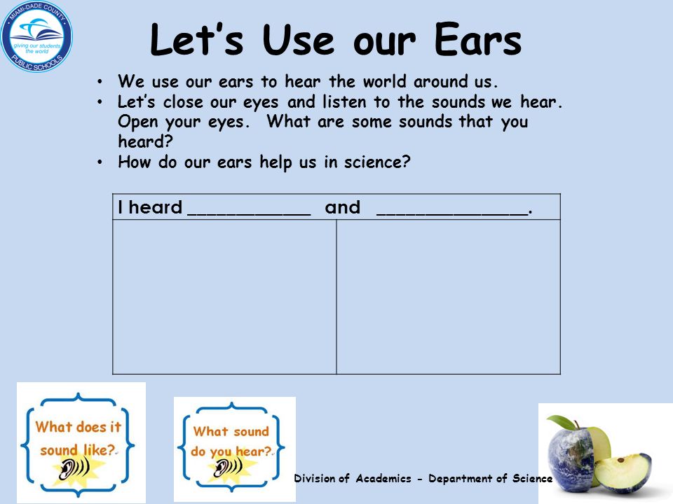 Let’s Use our Ears We use our ears to hear the world around us.