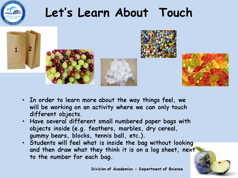 Let’s Learn About Touch In order to learn more about the way things feel, we will be working on an activity where we can only touch different objects.
