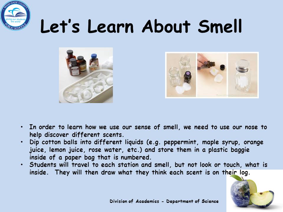 Let’s Learn About Smell In order to learn how we use our sense of smell, we need to use our nose to help discover different scents.