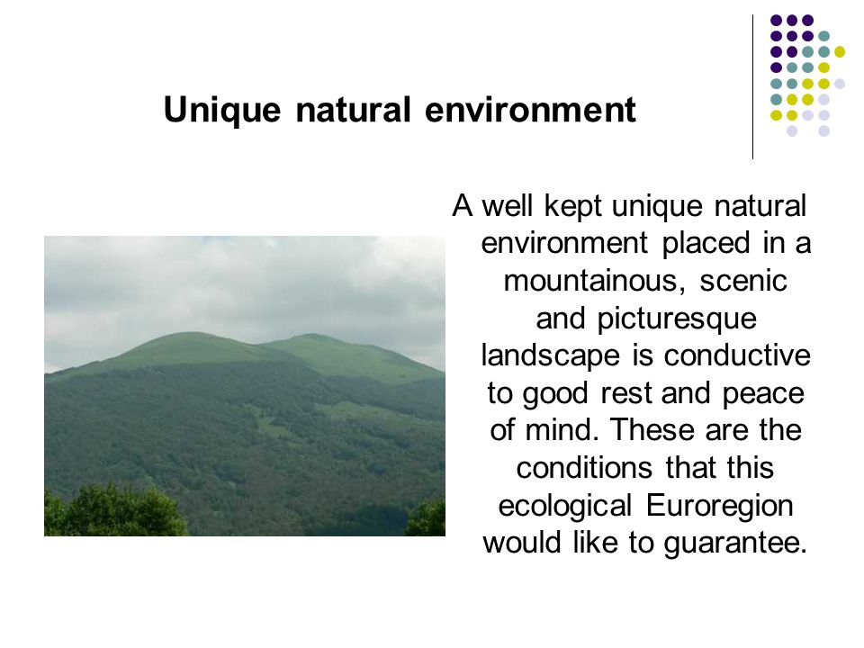 Unique natural environment A well kept unique natural environment placed in a mountainous, scenic and picturesque landscape is conductive to good rest and peace of mind.