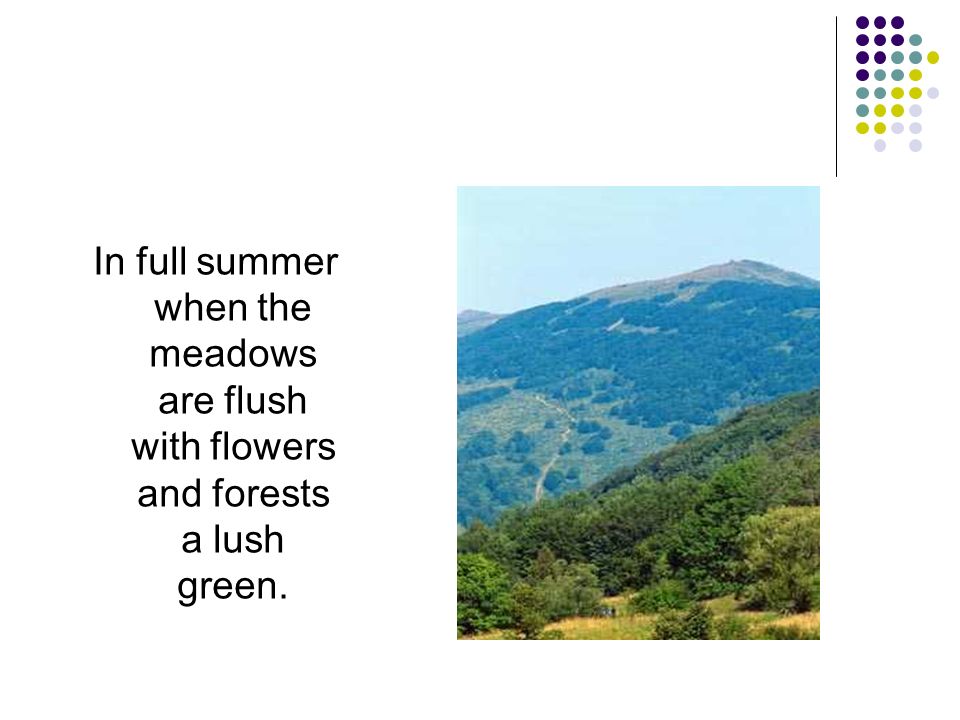 In full summer when the meadows are flush with flowers and forests a lush green.